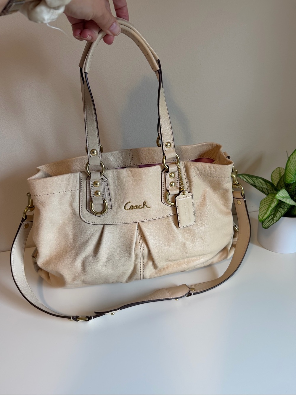 Coach F15513 Ashley Leather Caryall shoulder bag/crossbody